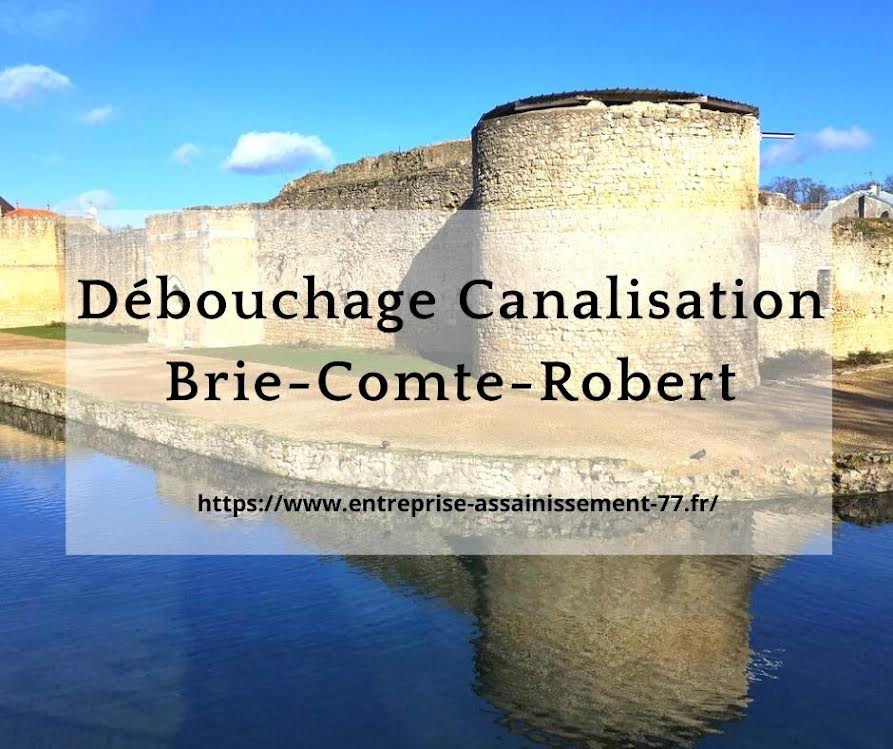 Débouchage canalisation 77 Brie-Comte-Robert 