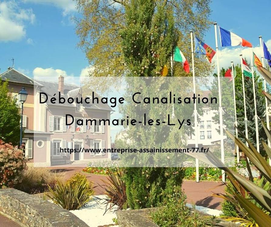 Débouchage canalisation 77 Dammarie-les-Lys
